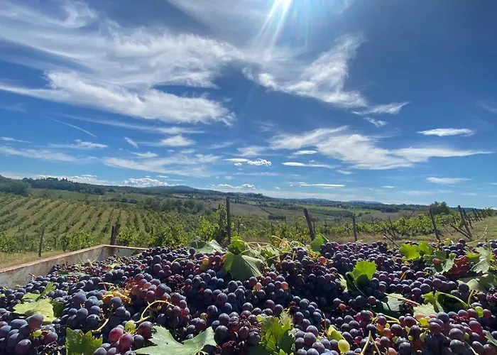 Casal De' Matti - Casa Margot * פוג'יבונסי